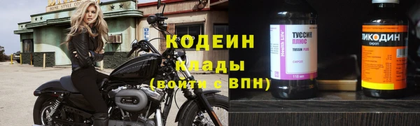 сатива Верея