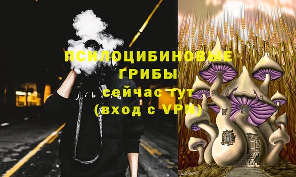 кокс Бородино