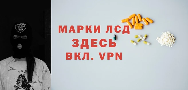 стафф Володарск