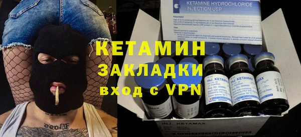 сатива Верея