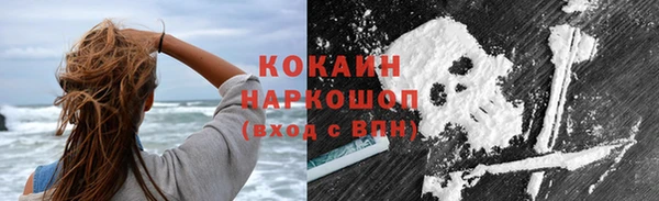 сатива Верея