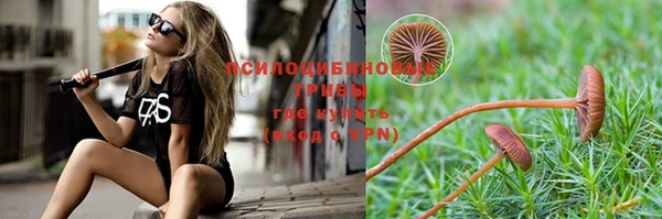 скорость Тобольск