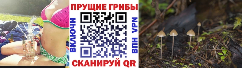 Галлюциногенные грибы ЛСД Томск