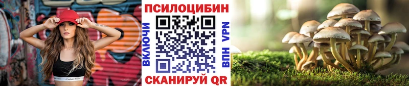 Галлюциногенные грибы Magic Shrooms MEGA сайт Томск